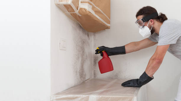 Professional Mold Remediation technician working in Burlington, NC