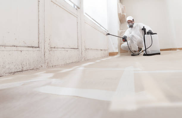 24/7 Emergency Mold Remediation experts in Burlington, NC