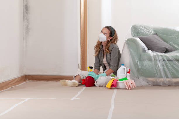 Reliable Mold Remediation contractor in Burlington, NC by Car Mold Remediation